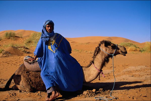 539046 Camel Handler, Erg Chebbi, Morocco A4 Photo Print