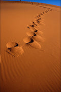 539049 Sand Dunes, Morocco A4 Photo Print