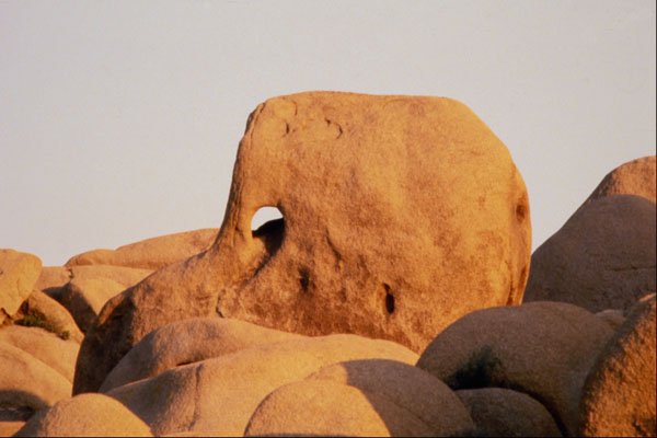 539057 Hole In Rock, Joshua Tree National Monument, California A4 Photo Print