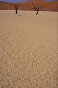 539059 Dry Lake Bed A4 Photo Print