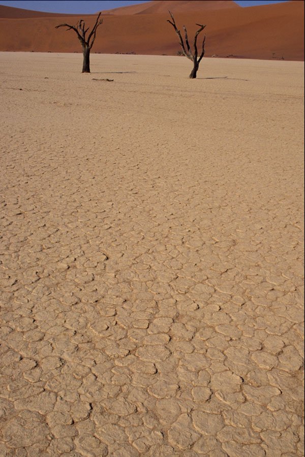 539059 Dry Lake Bed A4 Photo Print