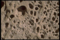 539071 Holey Rock A4 Photo Print