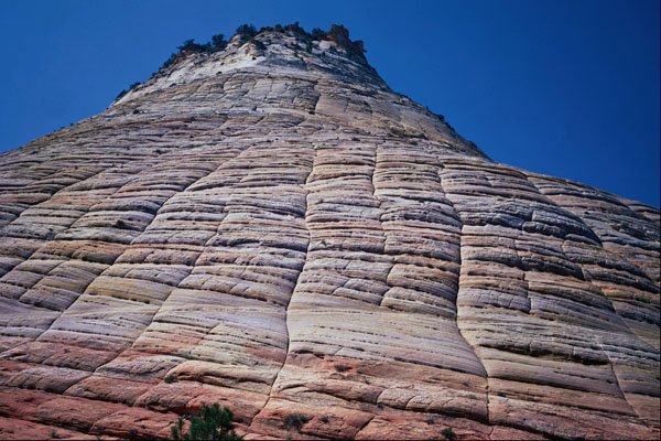 539080 Checkerboard Mesa, Zion National Park, Utah A4 Photo Print