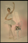 540022 The Fan A4 Photo Print