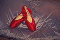 540068 Splendor In Satin A4 Photo Print