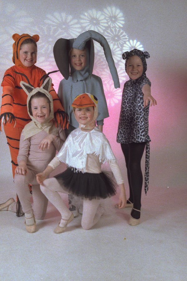 540089 Animal Magic A4 Photo Print
