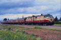 543022 Napa Valley Wine Train, CA A4 Photo Print