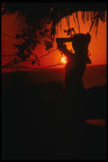 544013 Silhouette, Barbados A4 Photo Print