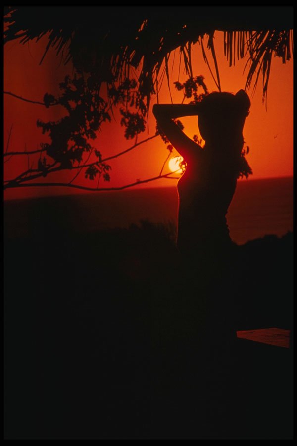 544013 Silhouette, Barbados A4 Photo Print