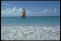 544018 Off Christchurch Beach, Barbados A4 Photo Print