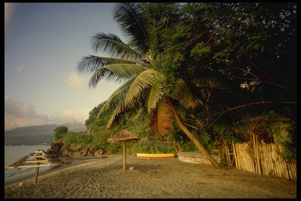 544019 L'Anse Turin, Martinique A4 Photo Print