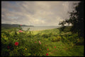 544020 Le Robert, Martinique A4 Photo Print