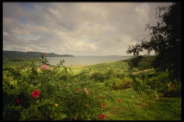 544020 Le Robert, Martinique A4 Photo Print