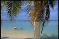 544042 Palm Beach, Aruba A4 Photo Print