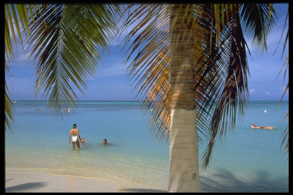 544042 Palm Beach, Aruba A4 Photo Print
