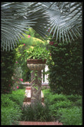 544065 Half Moon Resort Garden, Jamaica A4 Photo Print