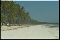 544072 Beach, Zanzibar Island, Indian Ocean A4 Photo Print