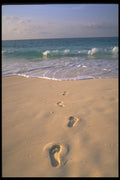 544091 Beach And Footprints, Cayo Largo, Cuba A4 Photo Print