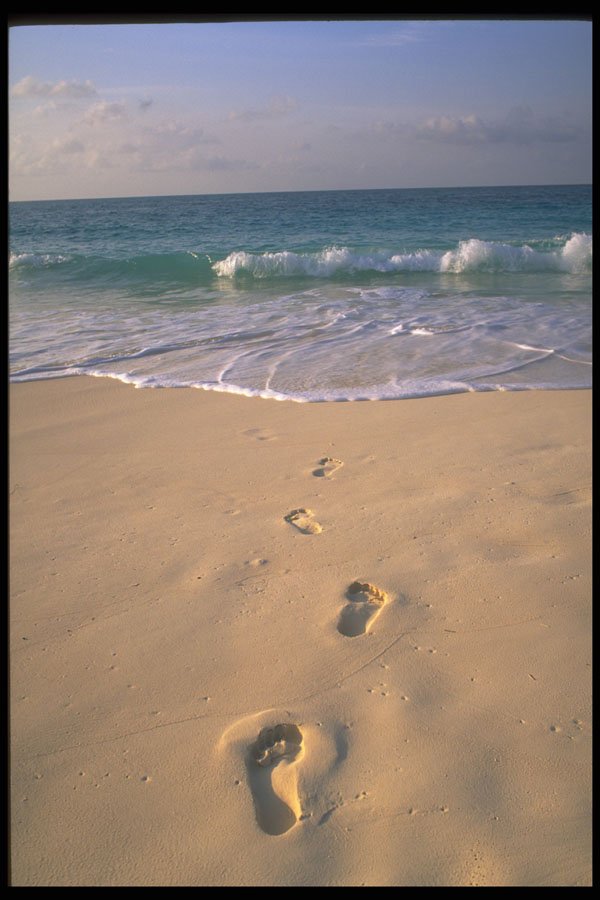 544091 Beach And Footprints, Cayo Largo, Cuba A4 Photo Print