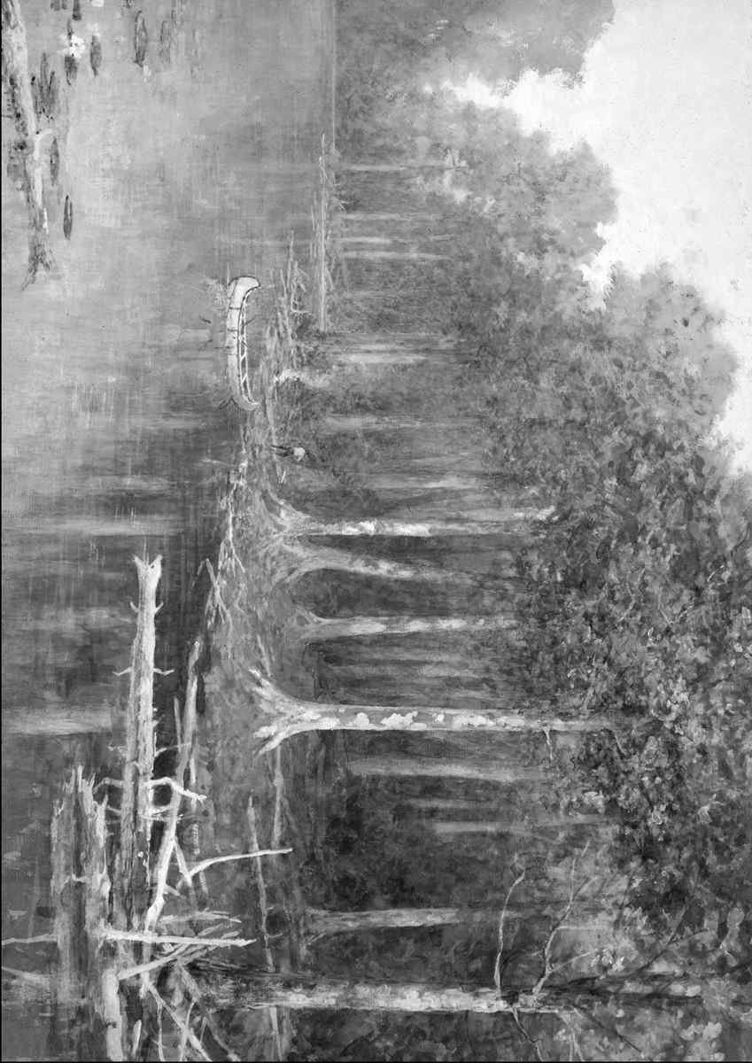 545099 Canadian Forest Frances Anne Hopkins 1880 89 C133819 A4 Photo Print
