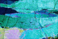 546011 Actinote A4 Photo Print