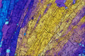 546013 Liswenite A4 Photo Print