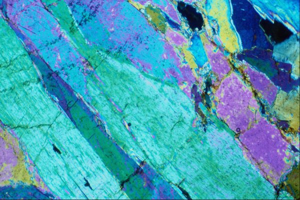 546040 Actinote A4 Photo Print
