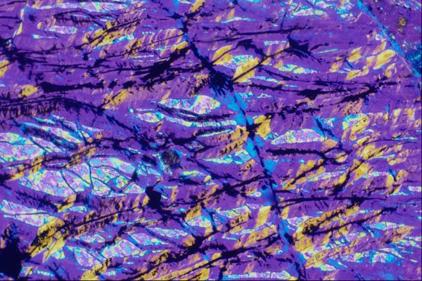 546044 Serpentine A4 Photo Print