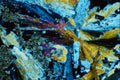 546061 Marble A4 Photo Print