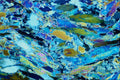 546076 Actinote A4 Photo Print