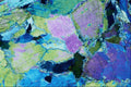546077 Actinote A4 Photo Print