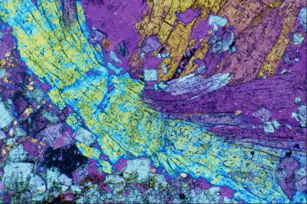 546091 Biotite A4 Photo Print