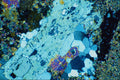 546097 Tourmalinite Muscovite A4 Photo Print