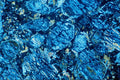 546098 Serpentine A4 Photo Print