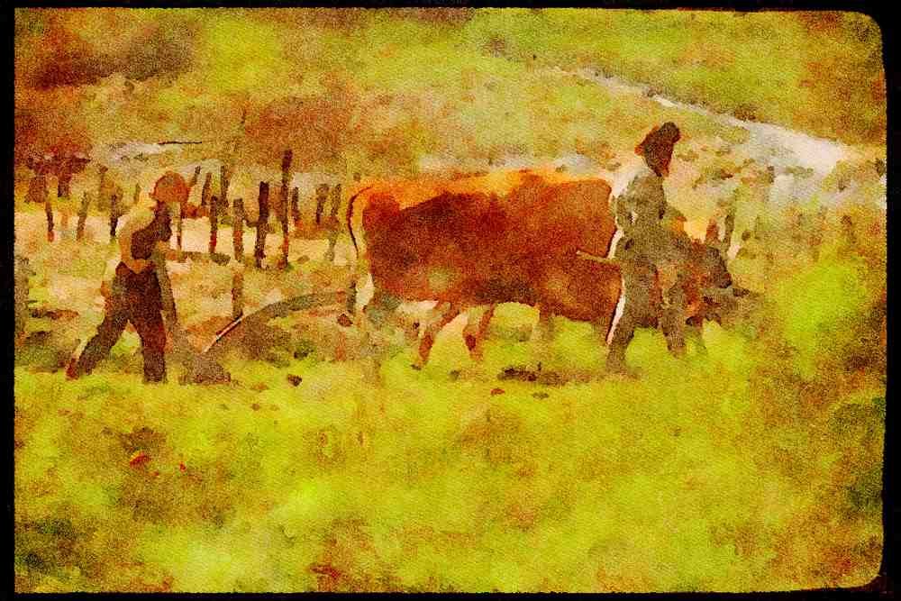 547000 Iron Age Plowing, Denmark A4 Limited Edition Watercolour Print