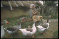 547001 Iron Age, Denmark A4 Photo Print