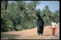 547003 Off To Market, Zagora, Morocco A4 Photo Print