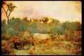 547004 Off To Market, Pakistan A4 Limited Edition Watercolour Print