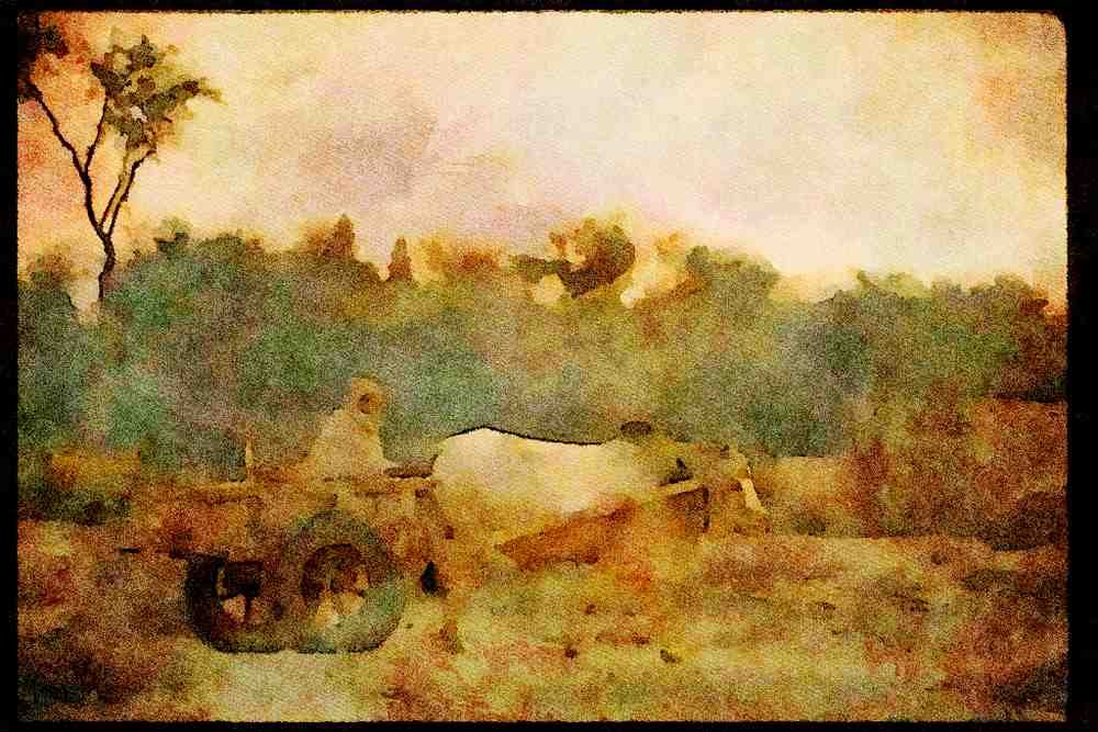 547004 Off To Market, Pakistan A4 Limited Edition Watercolour Print