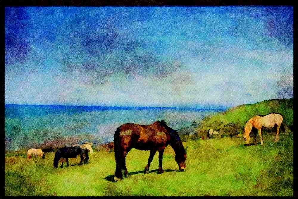 547009 West Coast Of Wales, Near Aberaeron A4 Limited Edition Watercolour Print