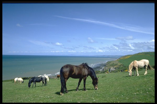 547009 West Coast Of Wales, Near Aberaeron A4 Photo Print