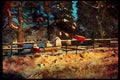 547020 Mailboxes In Winter A4 Limited Edition Watercolour Print
