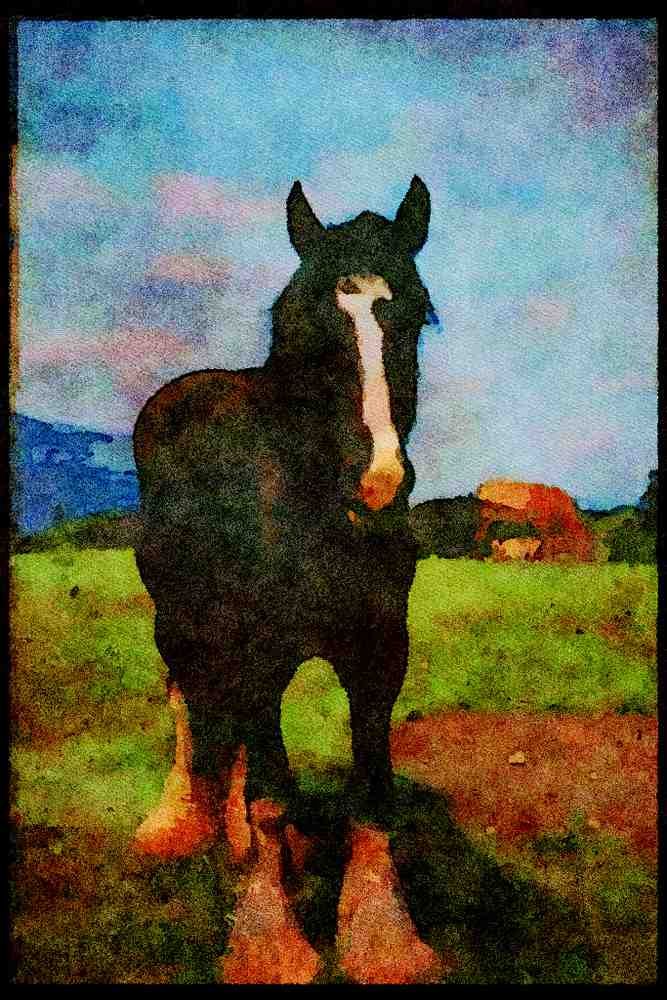 547027 Trusty Workhorse, Ireland A4 Limited Edition Watercolour Print