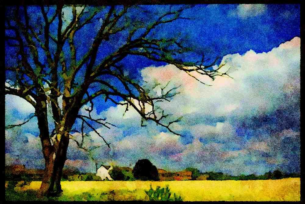 547032 Humberside, Oil seed Rape Field In Flower, England A4 Limited Edition Watercolour Print