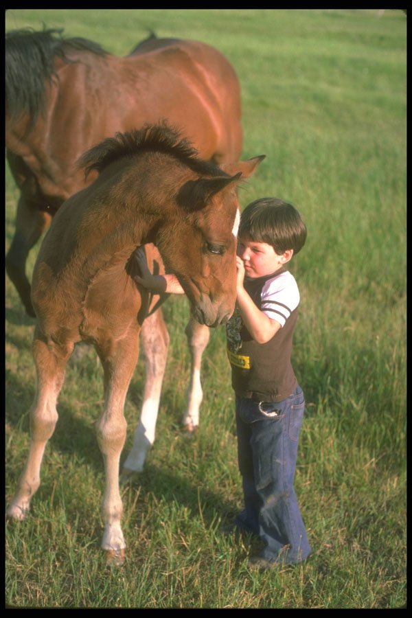 547038 A Boy And His Horse, British Columbia, Canada A4 Photo Print