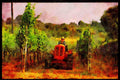 547049 Farm Tractor, France A4 Limited Edition Watercolour Print