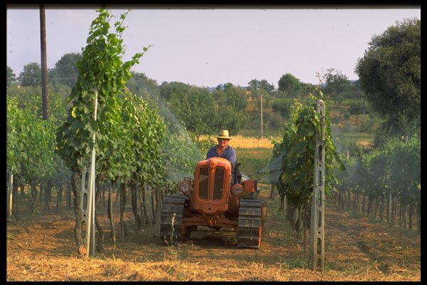 547049 Farm Tractor, France A4 Photo Print