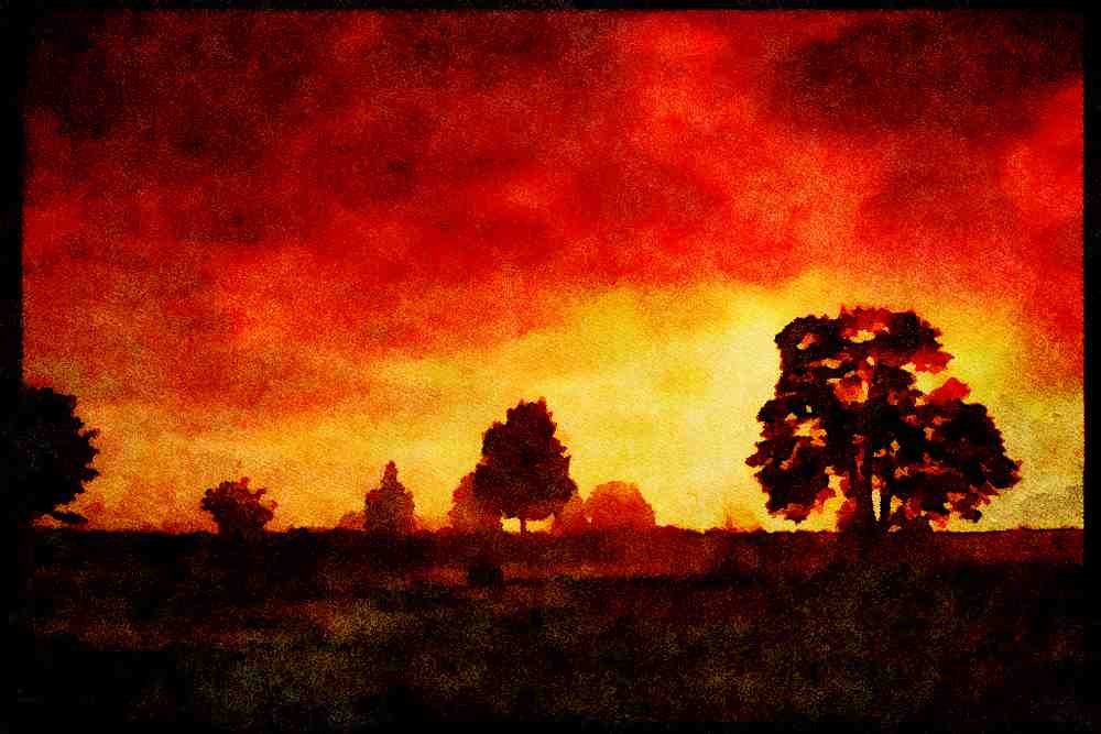 547055 Horses And Foggy Dawn Light, Washington A4 Limited Edition Watercolour Print