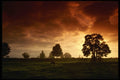 547055 Horses And Foggy Dawn Light, Washington A4 Photo Print