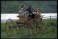 547056 Bride And Groom Off For A Cowboy Honeymoon A4 Photo Print